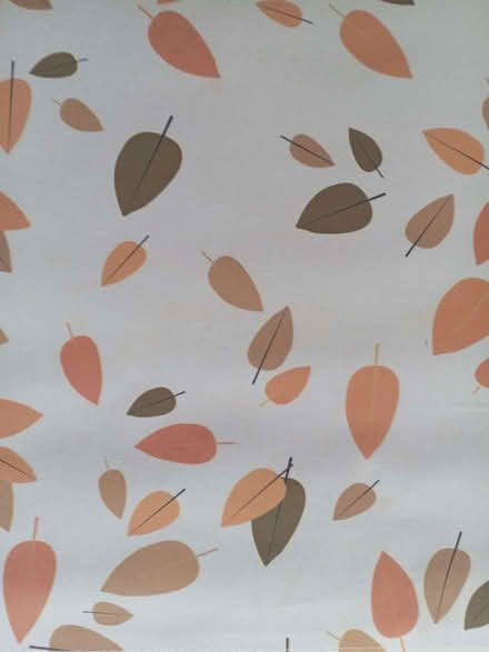 Photo of free Curtains and blinds (Slateford EH14) #3