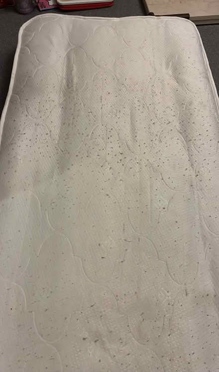 Photo of free single mattress (Bog Gate TW10) #1