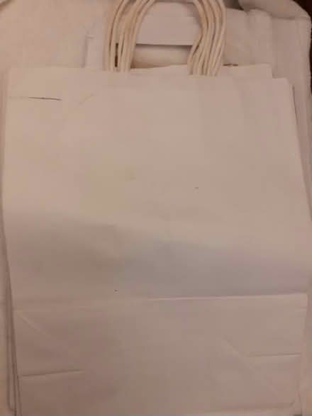 Photo of free Paper Lunch bags (Birmingham City Centre B1) #1