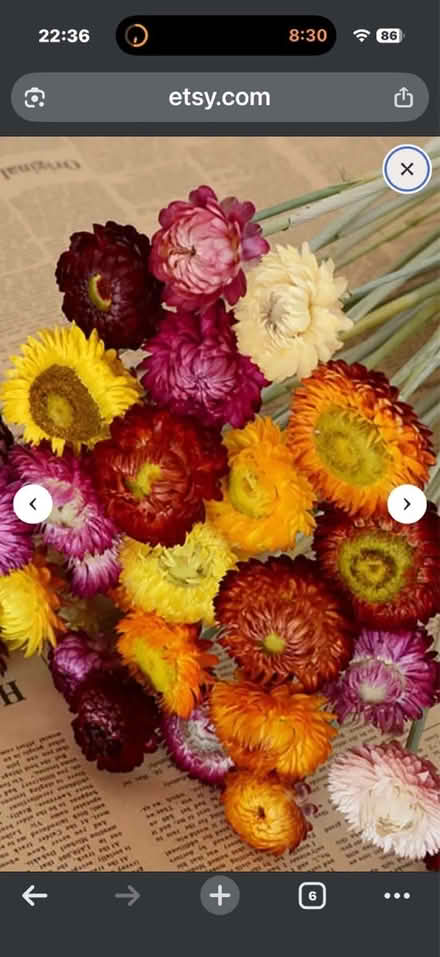 Photo of Dried flowers of any kind (OX41QL OX4) #1