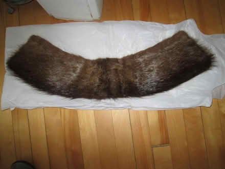 Photo of free real fur collar (Old Ottawa South) #1