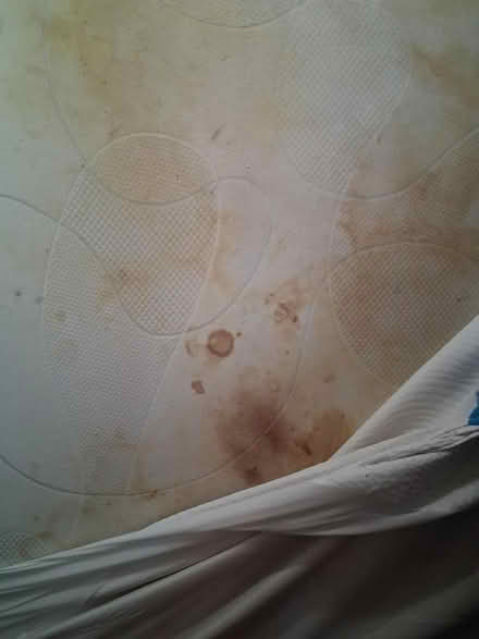 Photo of free King size mattress (Great bridge) #1