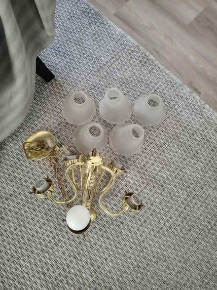 Photo of free Hanging Lighting Fixture (Cupertino City Hall) #1