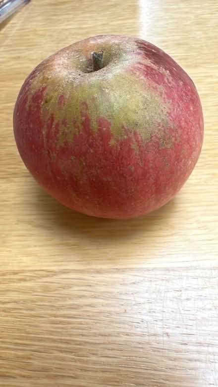 Photo of free Apples (Lexden CO3) #2
