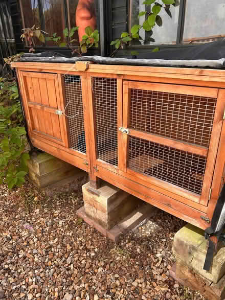 Photo of free Rabbit/ Guinea pig hutch (Northwood HA5) #2