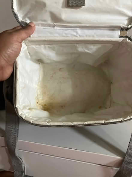 Photo of free Lunch box (Purley CR8) #2