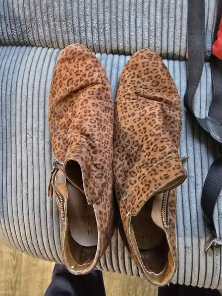 Photo of free Ankle Boots (Wards Corner) #2