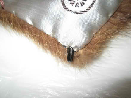 Photo of free real fur collar (Old Ottawa South) #3