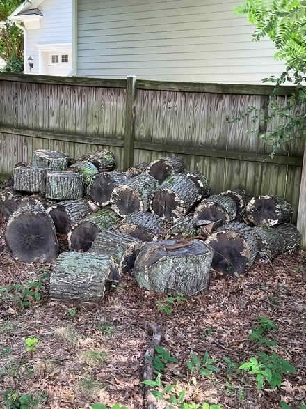 Photo of free Fire Wood (NW Vienna, VA) #1