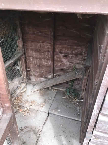 Photo of free Large chicken coop (Romsey CB1) #1