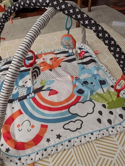 Photo of free Fisher-price baby playmat (Kennington SE11) #2