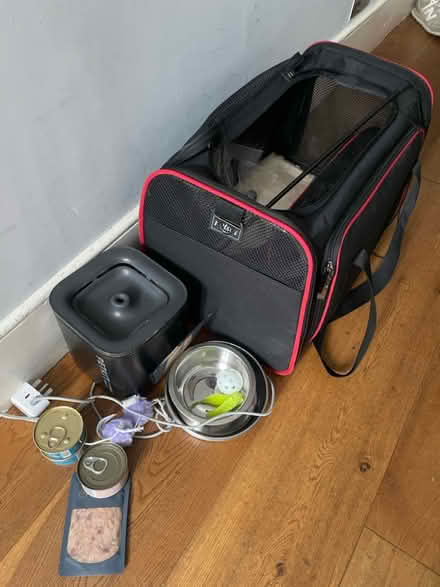Photo of free Things for a cat- W4 (Chiswick W4) #1