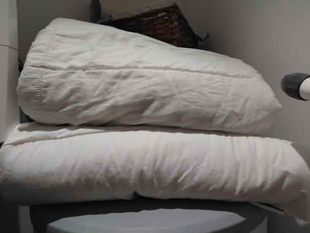 Photo of free 2 old single duvets (Hyde SK14) #1
