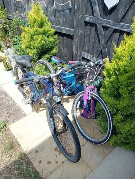 Photo of free Single Devan bed and mattress, single bedding and two bikes (Axminster EX13) #3