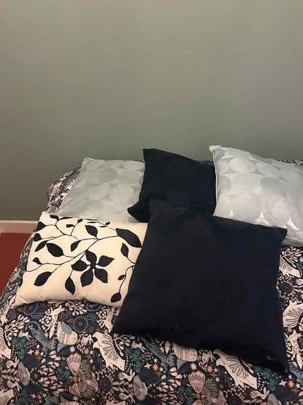 Photo of free Assortments of cushions 3 lots (Glasnevin) #3