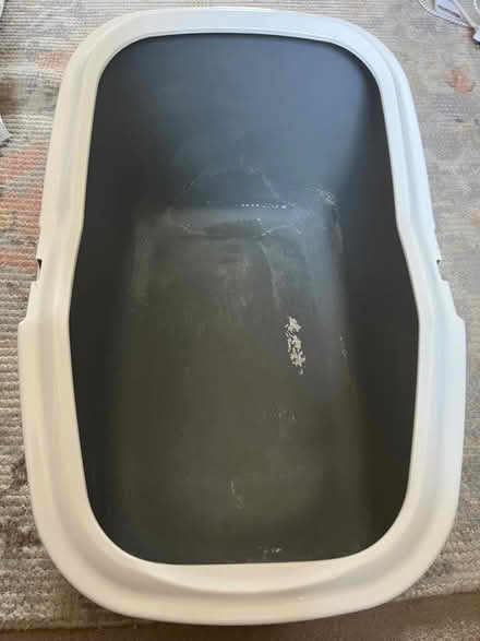 Photo of free Cat litter tray with high back and sides (Bletchley MK2) #1