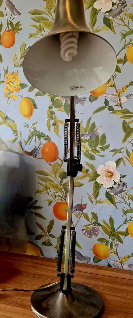 Photo of free Angle Poise Lamp (Broadbridge Heath RH12) #3