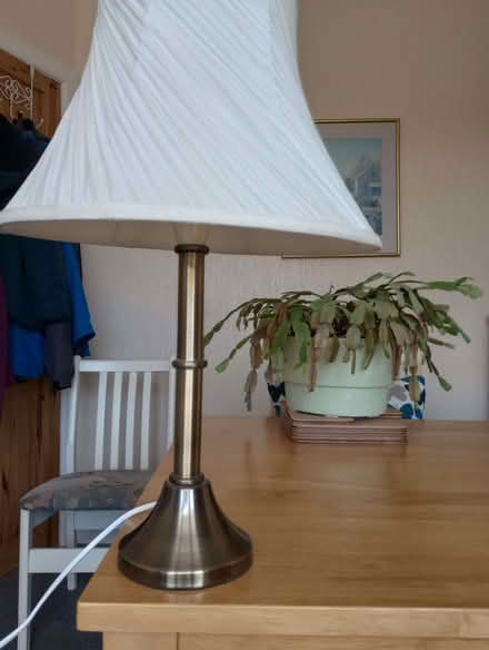 Photo of free 2 electric lamps (Cleveleys FY5) #3