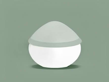 Photo of White soft sheen paint (Wormholt W12) #1
