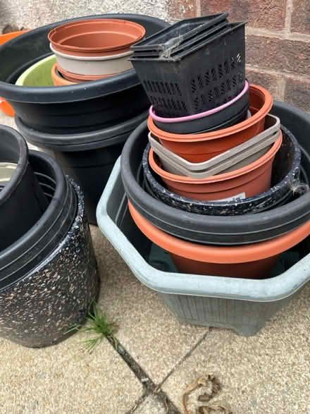 Photo of free Various sized Plant pots (OL6, Ashton under Lyne) #3