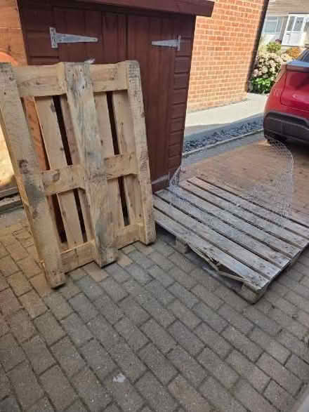 Photo of free 2 delivery pallets (Polegate BN26) #1
