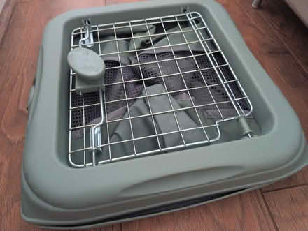 Photo of free Puppy, cat carrier (Hartwood Green PR7) #3