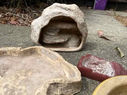 Photo of free Box of reptile dishes and hides (west san jose) #3