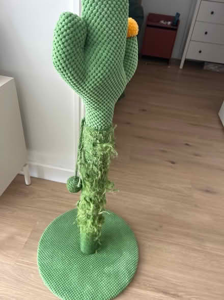 Photo of free Cat scratch post cactus (EH6 5GF) #1
