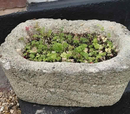 Photo of free Small planter (Sheffield S12) #1