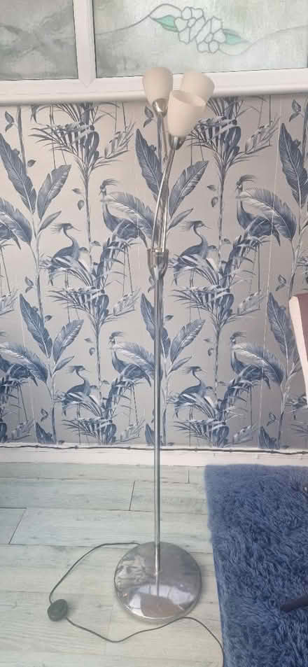 Photo of free Floor lamp (Stanway, CO3) #1