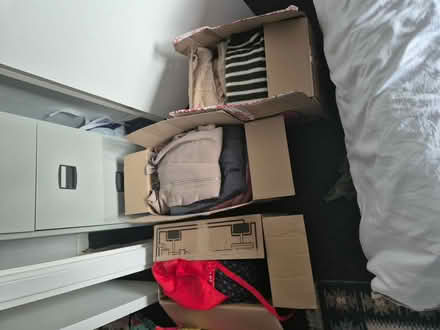 Photo of free Massive bundle of ladies clothes (Eh44rn) #1