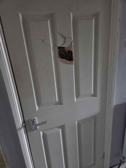 Photo of 2 internal doors (Norwich NR8) #1