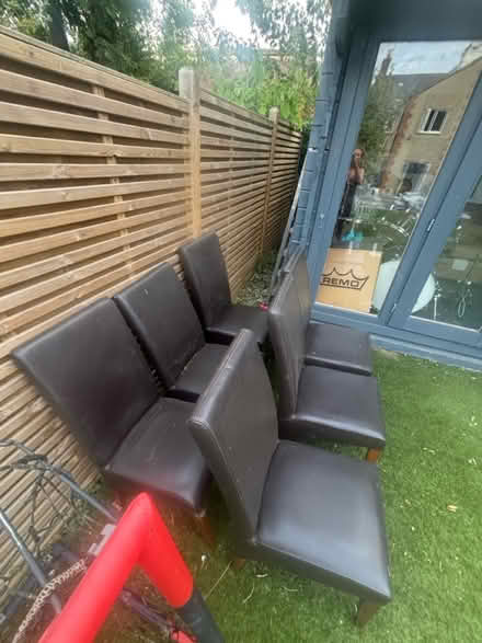 Photo of free 6 brown leather dining chairs (Knebworth, SG3) #2