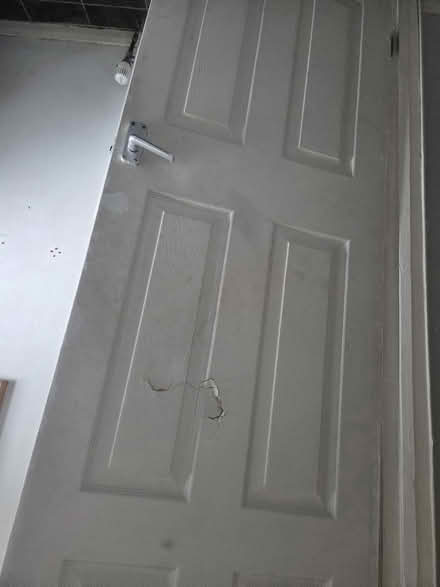 Photo of 2 internal doors (Norwich NR8) #3
