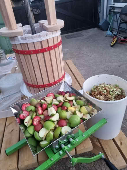 Photo of Apples and pears (windfall or else) (EN11 rye house area) #2
