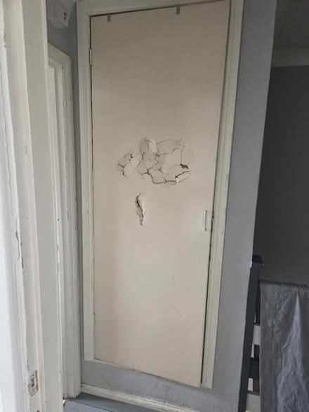 Photo of 2 internal doors (Norwich NR8) #2