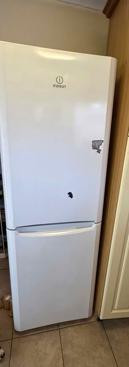 Photo of free Fridge freezer (Taunton TA1) #1