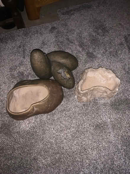 Photo of free Snake bits (HP2) #1