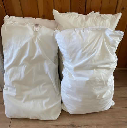 Photo of free Four Pillows no.1 (Welling DA16) #1