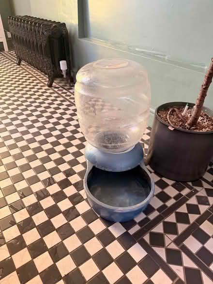 Photo of free Large dog water dispenser (Burham Rochester ME1) #2