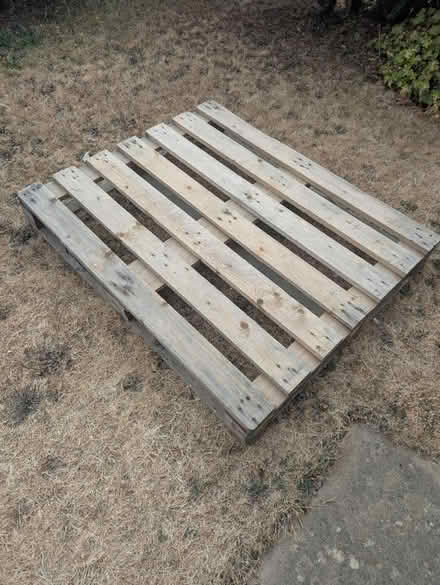 Photo of free Pallet (Stonehouse GL10 2) #1