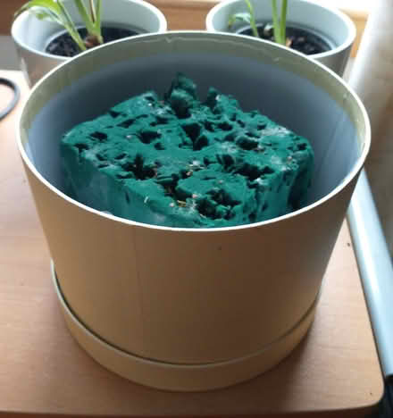 Photo of free Oasis foam blocks and pot for flower arranging (Drum Brae EH4) #1