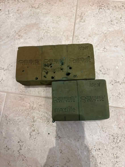 Photo of free Floral oasis (Ware SG12) #2