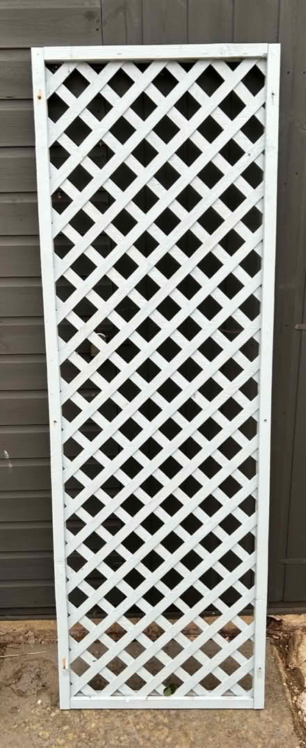 Photo of free Garden trellis blue (Biggleswade SG18) #1