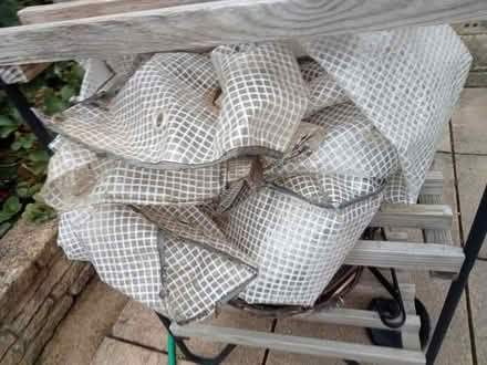 Photo of free Plastic Greenhouse (Southdown) #2