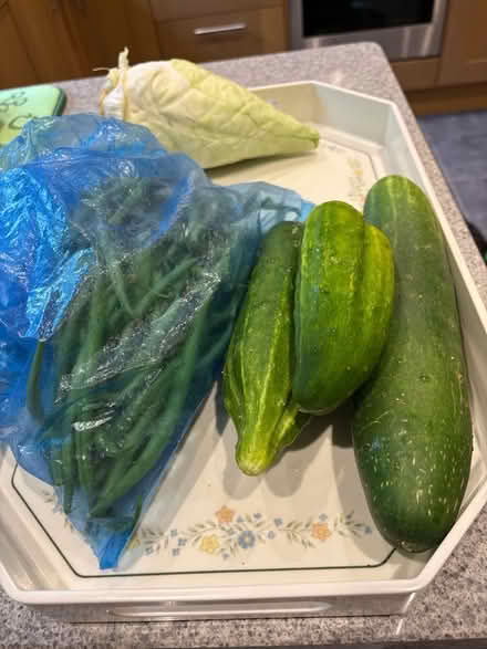 Photo of free Organic vegetables (Lyncombe BA2) #1