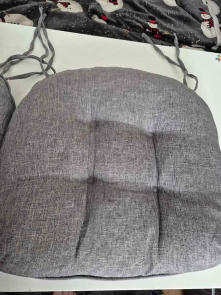 Photo of free 2 x dining chair cushions (Wolverhampton WV10) #1