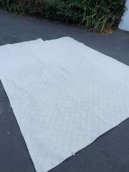 Photo of free Oatmeal/cream/beige carpet (Newtownards BT23) #1