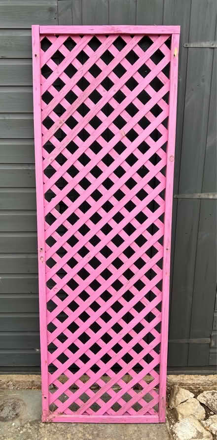 Photo of free Garden trellis pink (Biggleswade SG18) #1