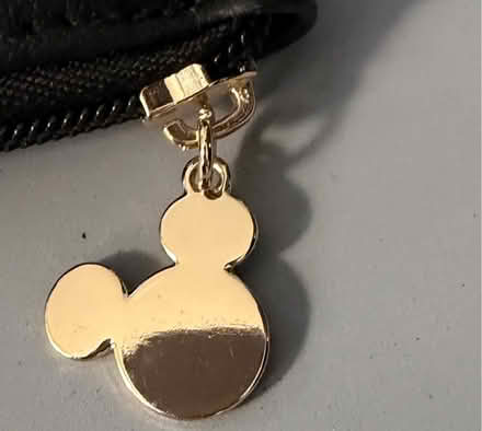 Photo of free Mickey Mouse Purse (Westbury BA13) #2